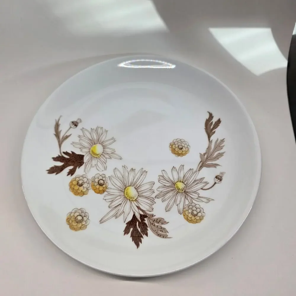 Johnson Bros Daisies Won't Tell Ironstone Dinner Plates 10